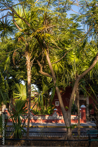 Santa Lucia Park, a popular downtown square, Merida, Yucatan, Mexico