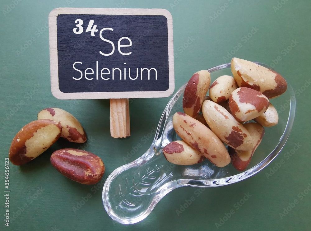 Brazil nut as one of the richest sources of selenium in food and symbol