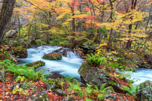 Oirase stream in Tohoku Japan in autumn forest