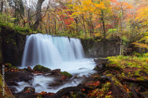 Fototapeta Naklejka Na Ścianę i Meble -  Choshi waterfalls in Oirase stream with autumn forest