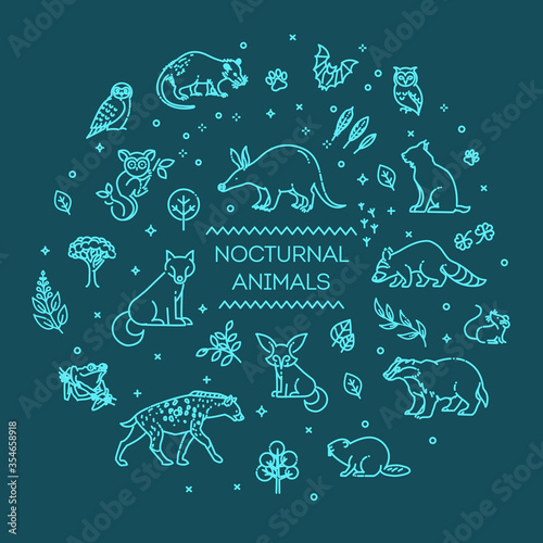 Vector. Set of linear vector nocturnal animals