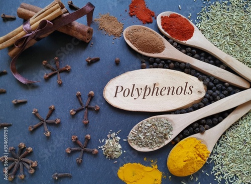 Set of various spices - foods high in polyphenols. Polyphenols are compounds with antioxidant properties, naturally found in spices, offers various health benefits. Clove, cinnamon, rosemary, oregano. photo