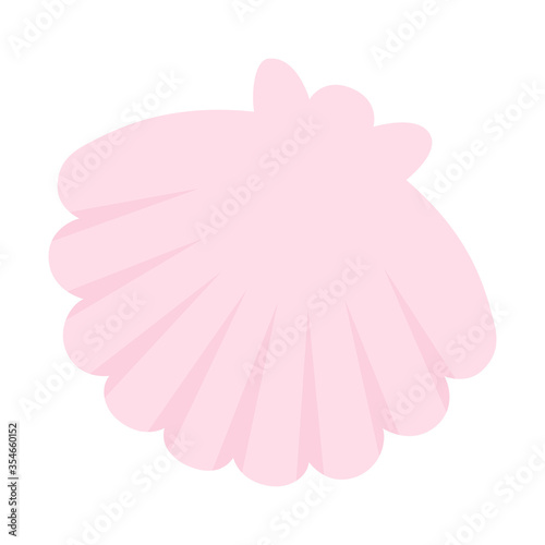 貝殻のイラスト