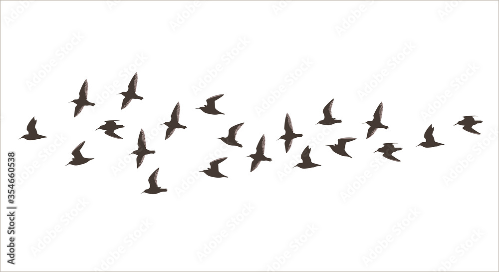 Vector silhouette a flock of small flying birds - obrazy, fototapety, plakaty 