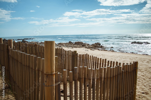 Fotografie, Obraz Sand fences along dune by beach  for themes of land management, ecology and the environment