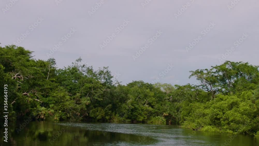 The camera moves down a river that passes by the Lamanai Mayan ruins of Belize. The camera moves down a river that passes by the Lamanai Mayan ruins of Belize.