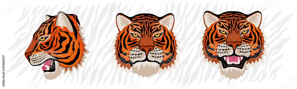Tigers Wild Cat Vector & Photo (Free Trial)