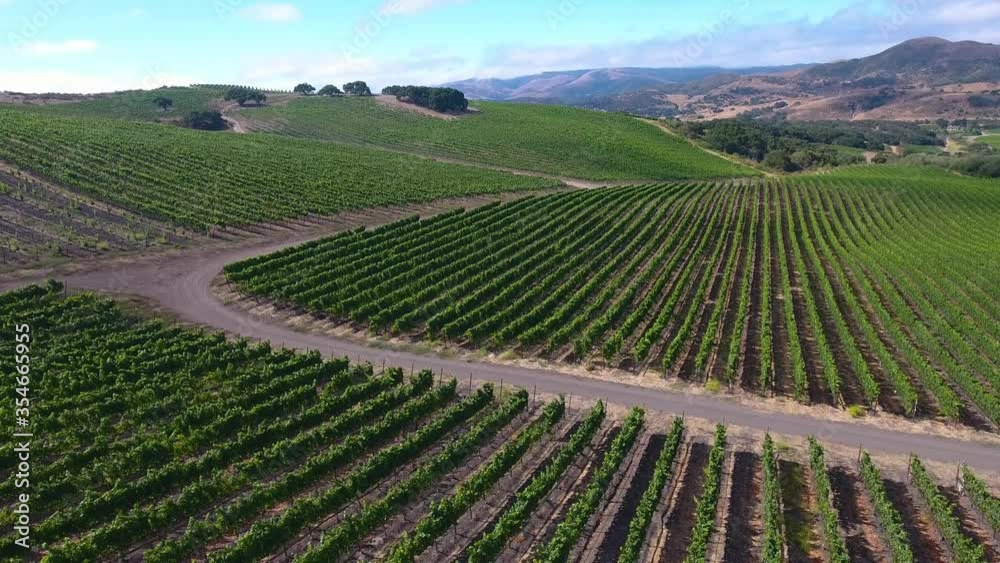 Beautiful aerial of hilly vineyards in the grape growing region of California’s santa rita appellation Beautiful aerial of hilly vineyards in the grape growing region of California’s santa rita appellation