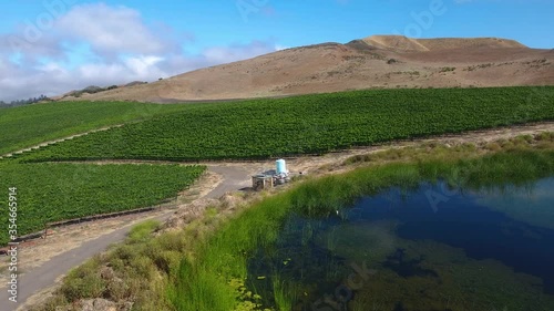 Beautiful aerial of hilly vineyards in the grape growing region of California’s santa rita appellation photo