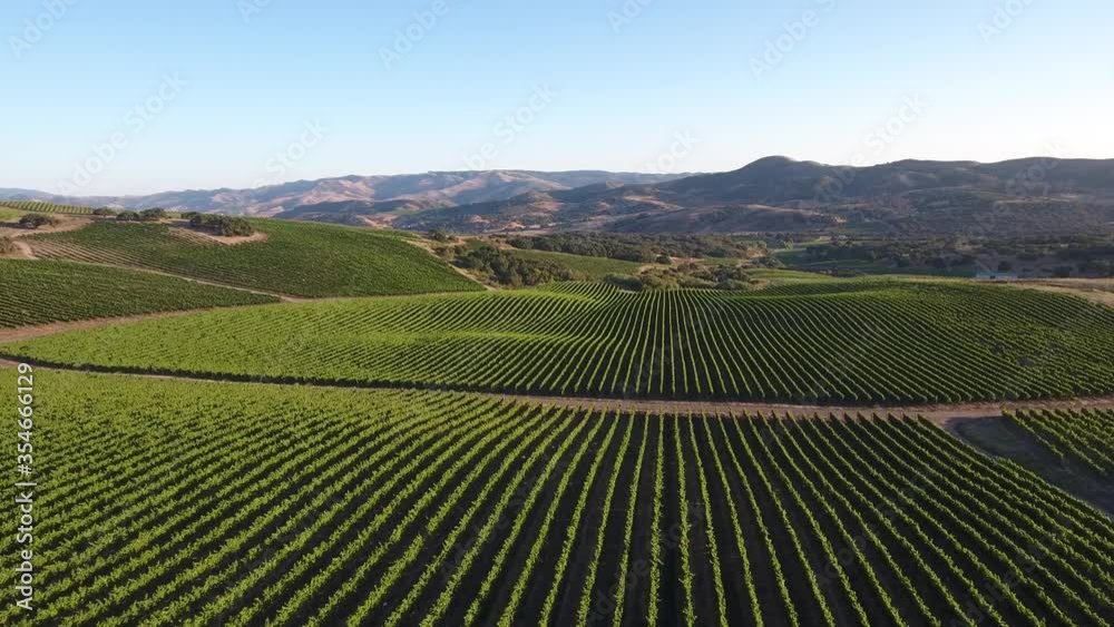 Beautiful aerial of hilly vineyards in the grape growing region of California’s santa rita appellation Beautiful aerial of hilly vineyards in the grape growing region of California’s santa rita appellation