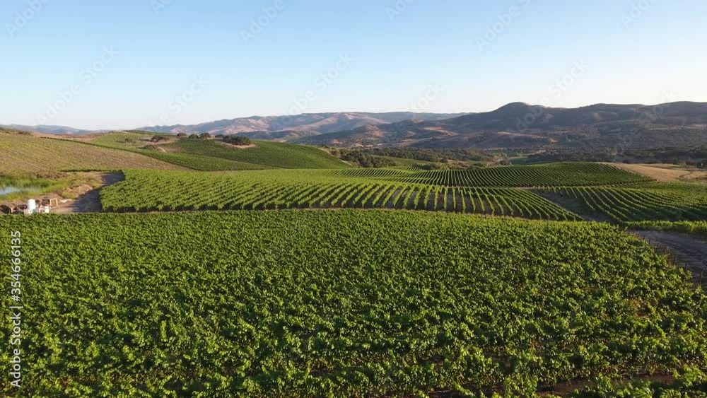 Beautiful aerial of hilly vineyards in the grape growing region of California’s santa rita appellation Beautiful aerial of hilly vineyards in the grape growing region of California’s santa rita appellation