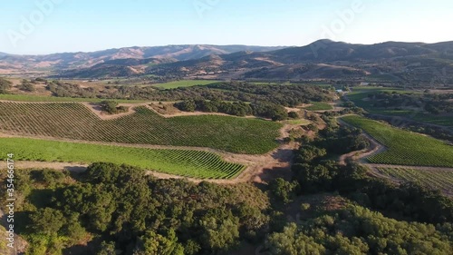 Beautiful aerial of hilly vineyards in the grape growing region of California’s santa rita appellation photo