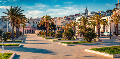 Εκτύπωση καμβά Panoramic morning view of central park of Vieste town