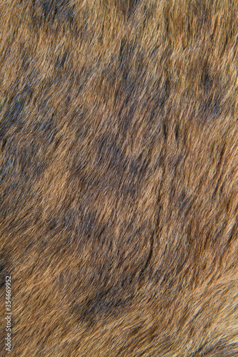 Background pattern of cow's leather carpet