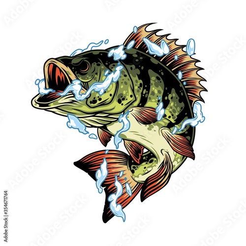 Perch fish in water splashes concept