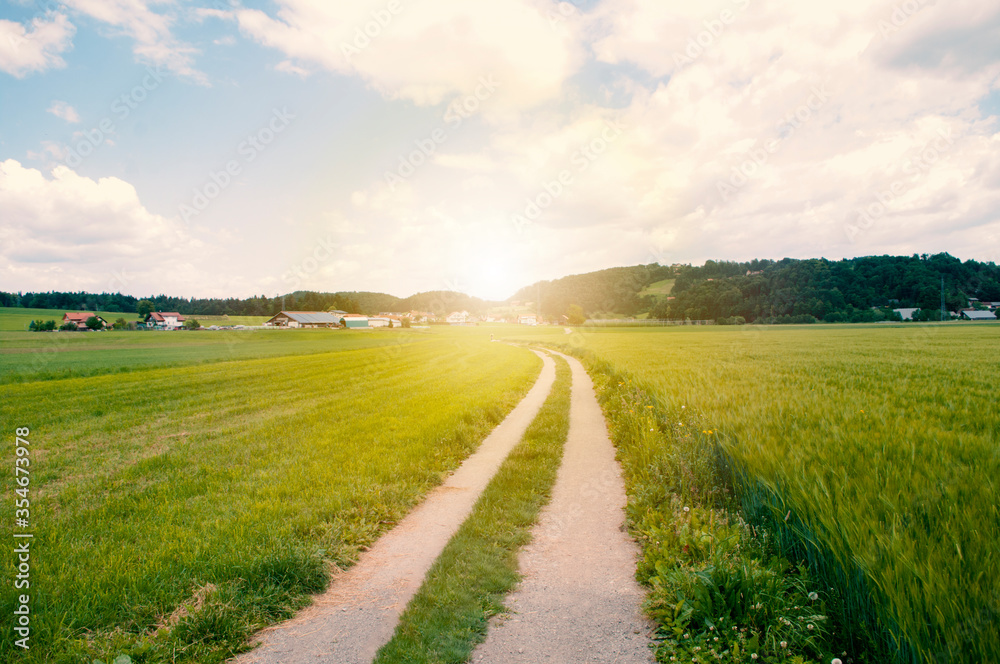 Road goes through valley, green field, the hills at the sunset. Copy space text. Road goes through valley, green field, the hills at the sunset. Copy space text.