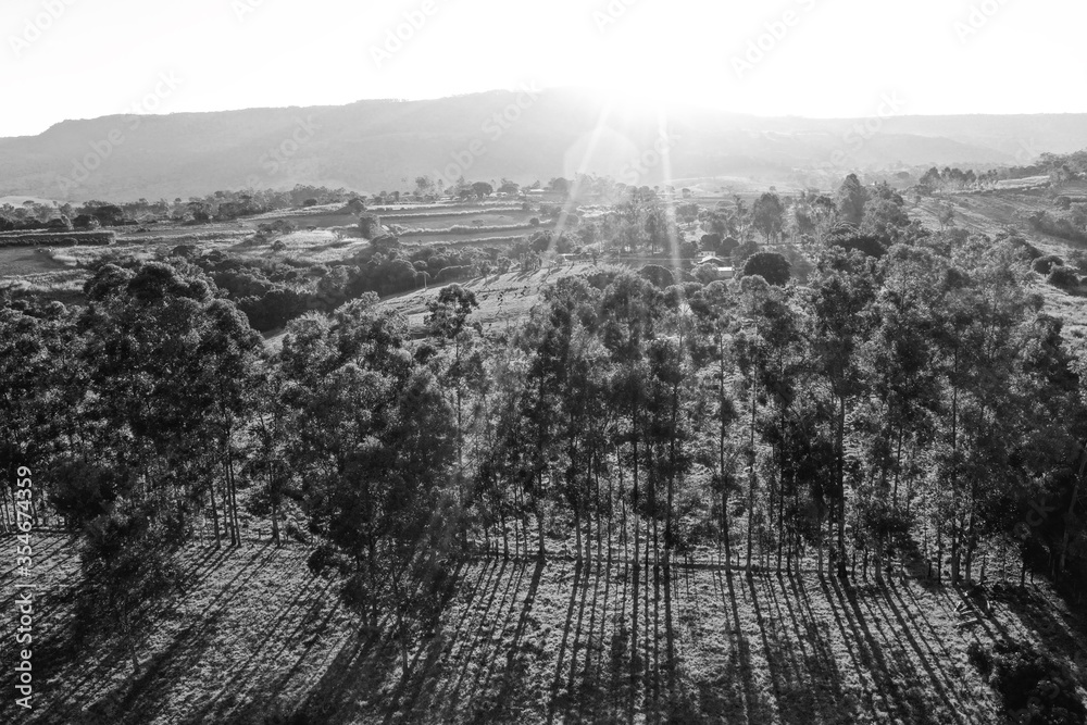 Obraz premium Aerial landscape of soccer stadium in the sunny day. Great landscape.