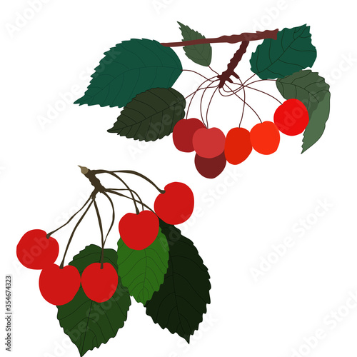 set of 2 vector cherries