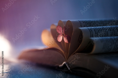 book pages decorated with flower