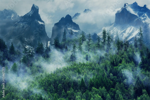 Morning fog in the mountains. Foggy mountains and forest © Andrii Vergeles