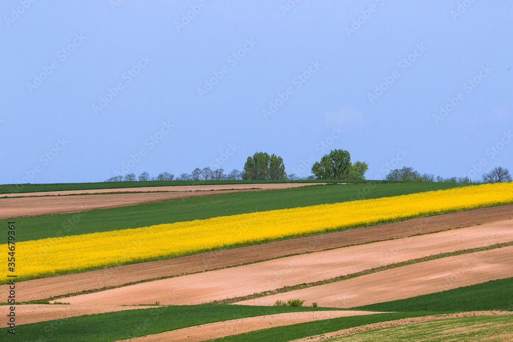 Spring landscape of countryside fields on the hill.