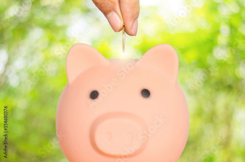 money saving for business investment finance and banking concept. people hands putting coin to piggy bank and row of coin stack on wood table and green blur nature background.