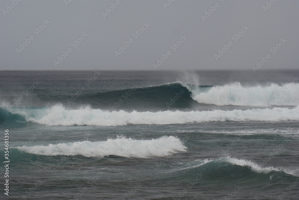 Fototapeta premium Pacific ocean waves lined up perfectly