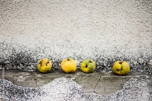 Dragan Jereminov photography