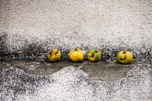 Dragan Jereminov photography