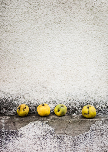 Dragan Jereminov photography