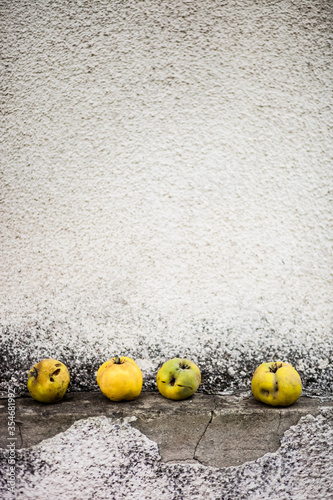 Dragan Jereminov photography