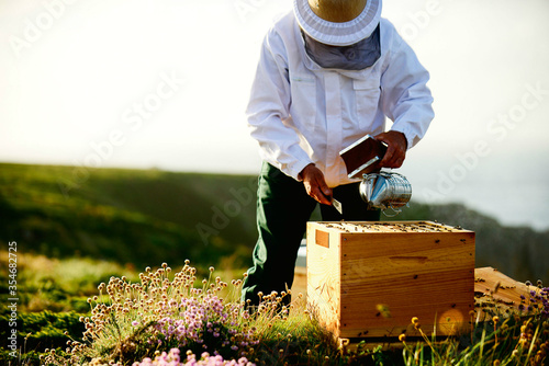 Frames of a bee hive. Beekeeper harvesting honey. The bee smoker is used. Beekeeper checking his bees in bee-house.  photo