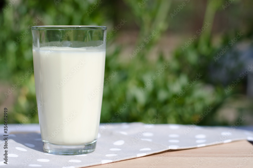 Glass of fresh milk on a background of nature. Milk in a large transparent glass. Glass of fresh milk on a background of nature. Milk in a large transparent glass.