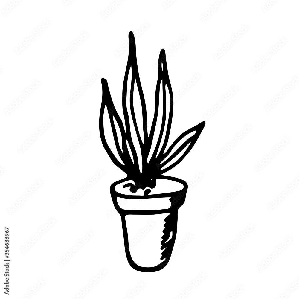 Room flower in a pot. A hand-drawn element in the Doodle style. Isolated object on a white background.House decoration.Vector illustration. Room flower in a pot. A hand-drawn element in the Doodle style. Isolated object on a white background.House decoration.Vector illustration.