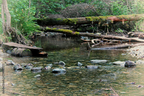 cool, transparent mountain stream in a sleepy hollow, summer landscape