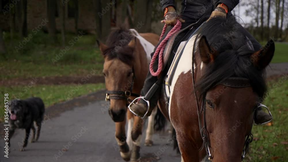Woman Riding and Leading Horses while Barn Dog Follows, Pennsylvania Farm Woman Riding and Leading Horses while Barn Dog Follows, Pennsylvania Farm