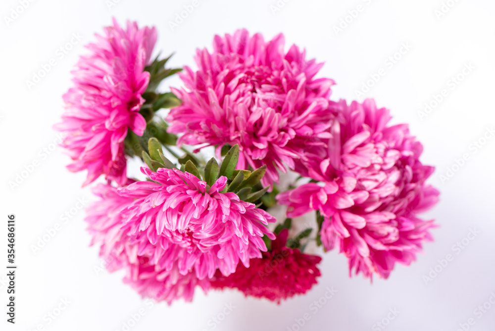 Beautiful bouquet of pink and red flowers asters in a ceramic jug on a white background