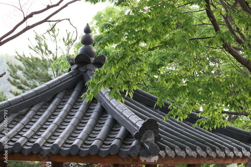 나무, 건물, 곤충, 한옥