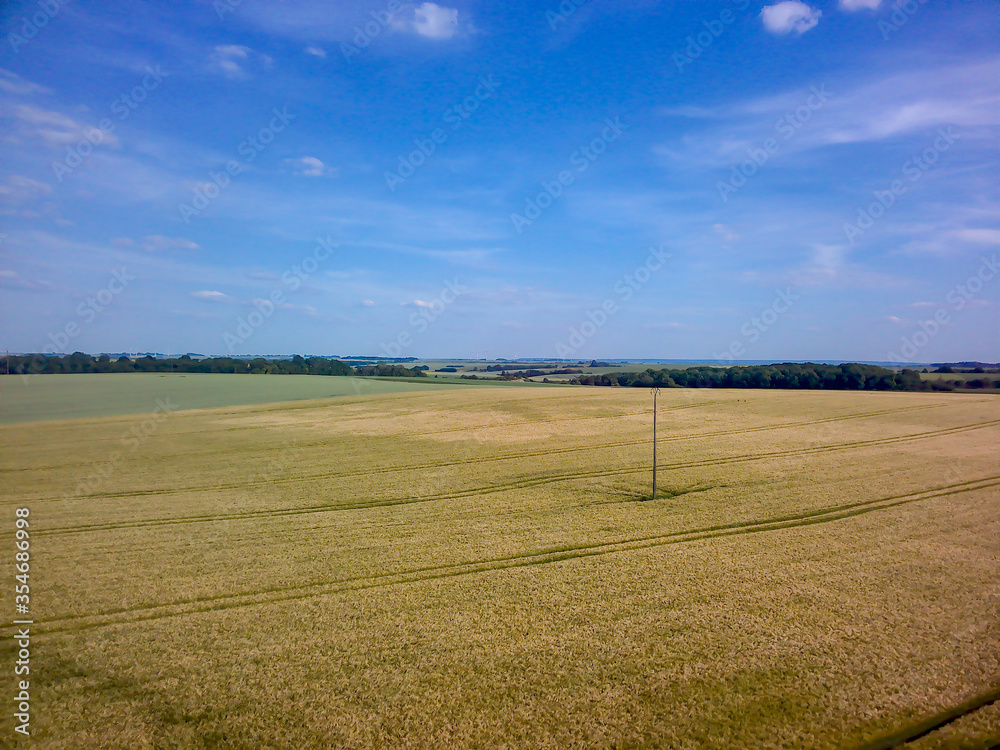 Obraz premium champs au printemps