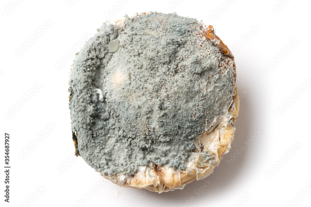 Obraz premium Moldy organic food on white. Improper storage of products, excessive stocks lead to spoilage of food. Close up.