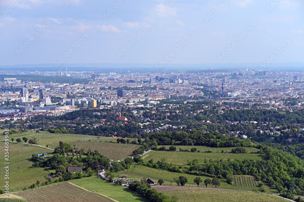 Vineyards and Vienna city panormaic view