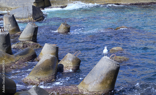 Marine concrete breakwaters