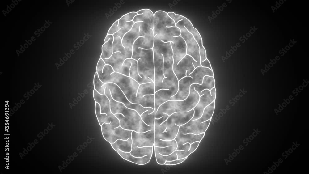 Animated diagram of human brain Animated diagram of human brain