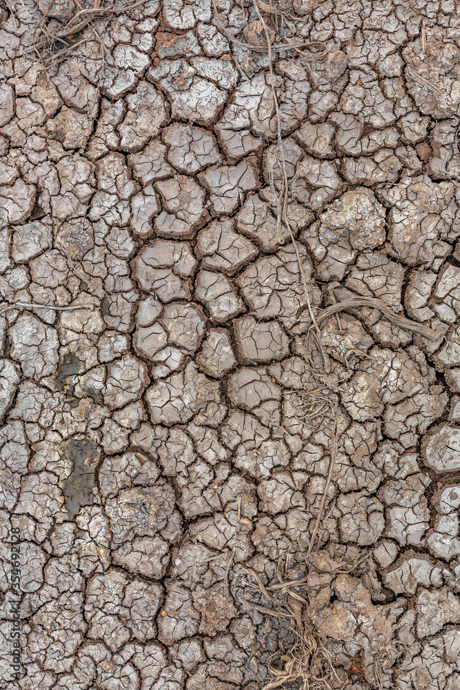 Fototapeta premium The soil cracked by drought