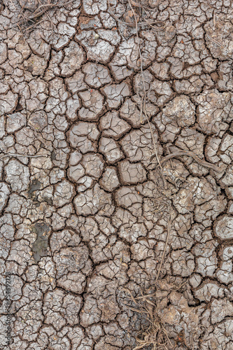 The soil cracked by drought