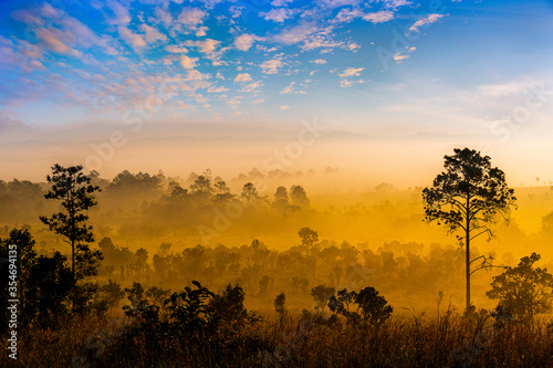 Beautiful forest landscape of foggy sunrise in Thung salaeng Luang National Park (Nong Mae na), Thailand © banjongseal324