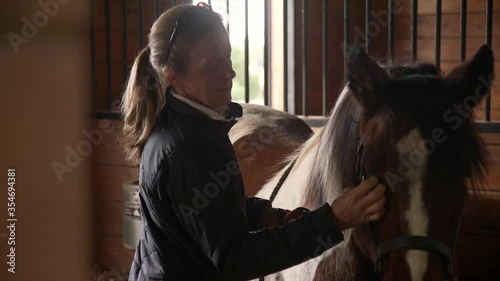 Woman Brushing Pony In Stall, Slider Shot photo