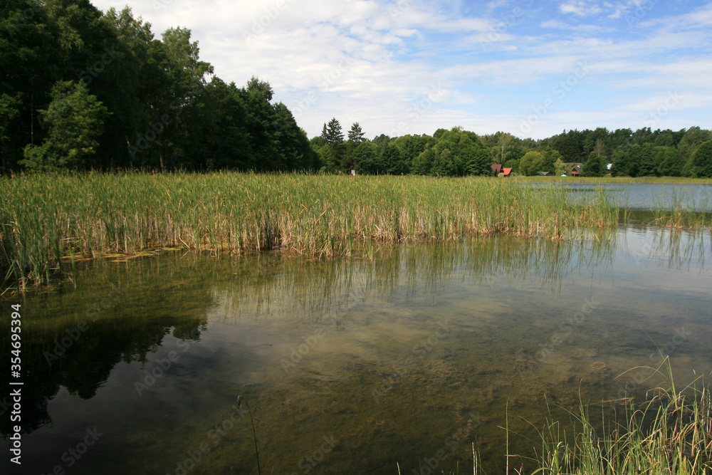 Obraz premium Studziennicze lake, Augustow Primeval Forest, Suwalki Region in Poland