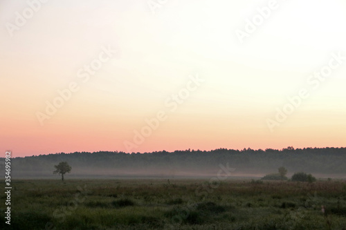 Before the sunrise in Biebrza National Park, Poland