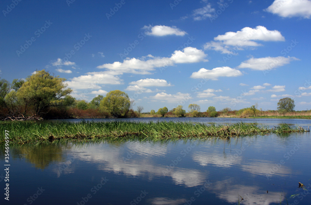 Landscape od Biebrza river in Biebrza National Park, Poland